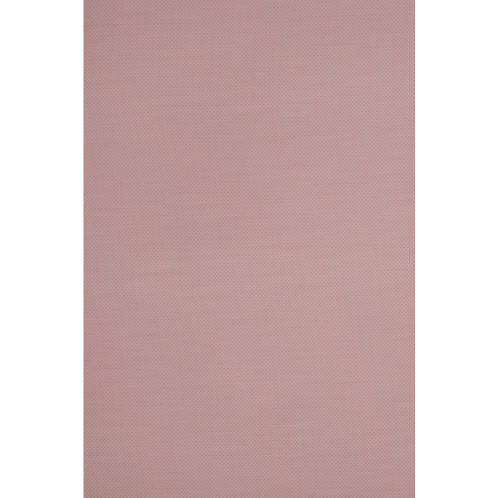 GRAIN DE RIZ