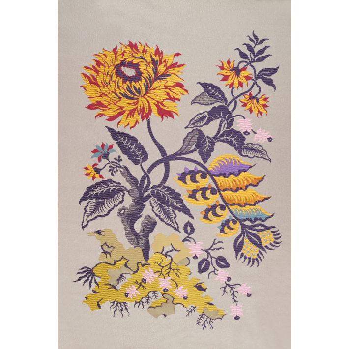 Chrysanthemum