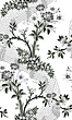LACE BROCADE