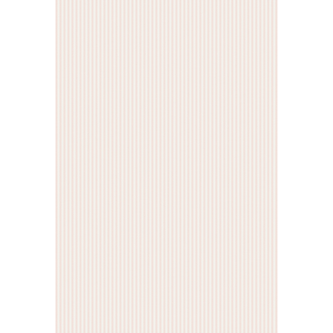 CANDY STRIPE