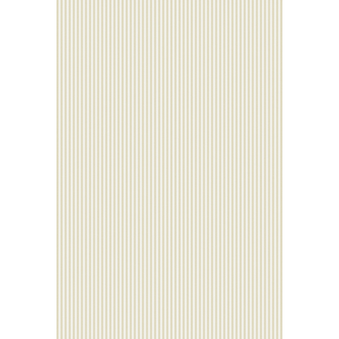 CANDY STRIPE