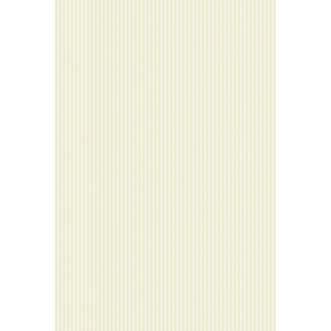 CANDY STRIPE