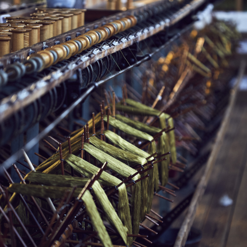 AlunCallenderPhoto_Gainsborough_052__D9A3791-500x500